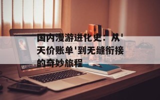 国内漫游进化史：从'天价账单'到无缝衔接的奇妙旅程