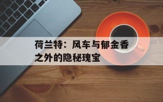 荷兰特：风车与郁金香之外的隐秘瑰宝