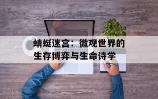 蜻蜓迷宫：微观世界的生存博弈与生命诗学