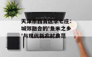 天津市西青区李七庄：城郊融合的'鱼米之乡'与现代新农村典范