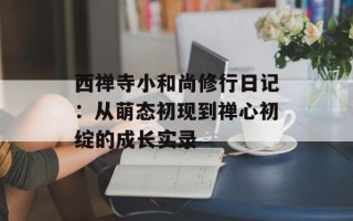 西禅寺小和尚修行日记：从萌态初现到禅心初绽的成长实录