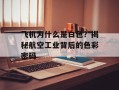 飞机为什么是白色？揭秘航空工业背后的色彩密码