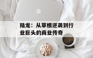 陆龙：从草根逆袭到行业巨头的商业传奇