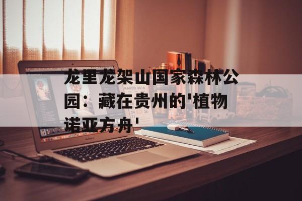 龙里龙架山国家森林公园：藏在贵州的'植物诺亚方舟'-第1张图片-