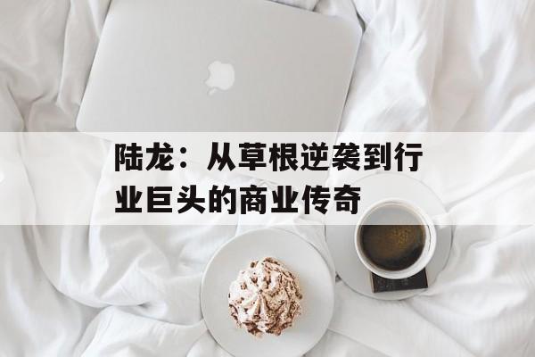 陆龙：从草根逆袭到行业巨头的商业传奇-第1张图片-