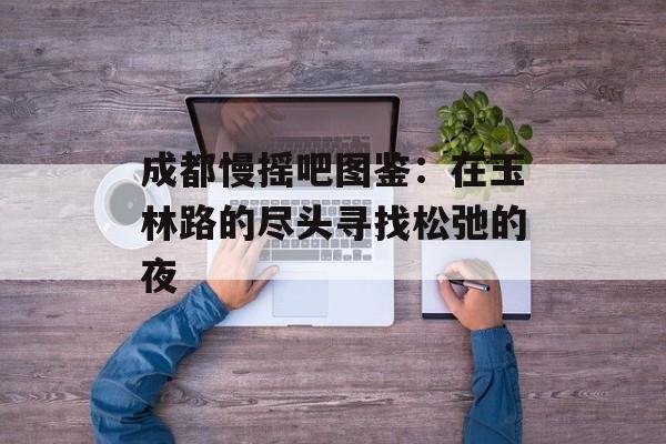 成都慢摇吧图鉴：在玉林路的尽头寻找松弛的夜-第1张图片-