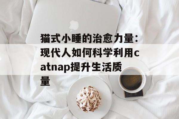 猫式小睡的治愈力量：现代人如何科学利用catnap提升生活质量-第1张图片-