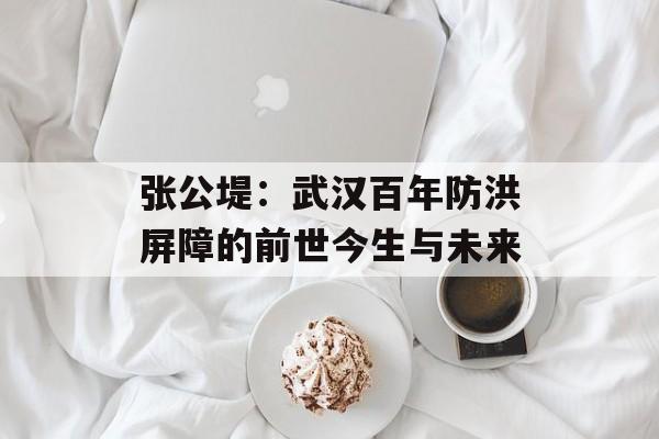 张公堤：武汉百年防洪屏障的前世今生与未来-第1张图片-