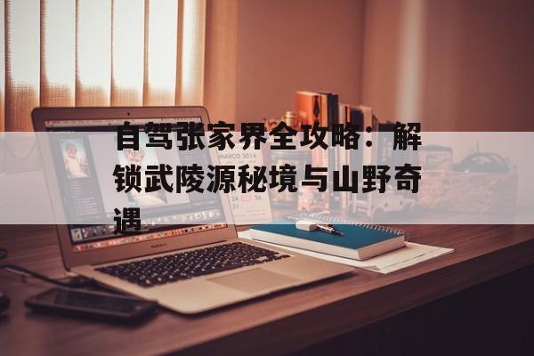 自驾张家界全攻略：解锁武陵源秘境与山野奇遇-第1张图片-