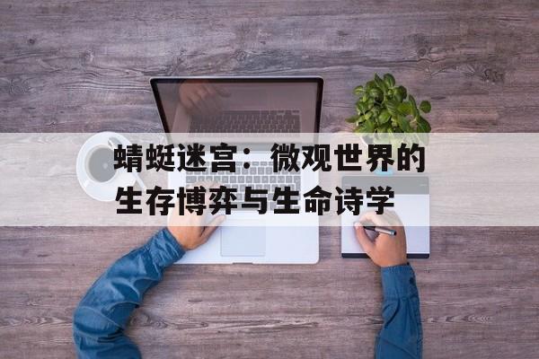 蜻蜓迷宫：微观世界的生存博弈与生命诗学-第1张图片-