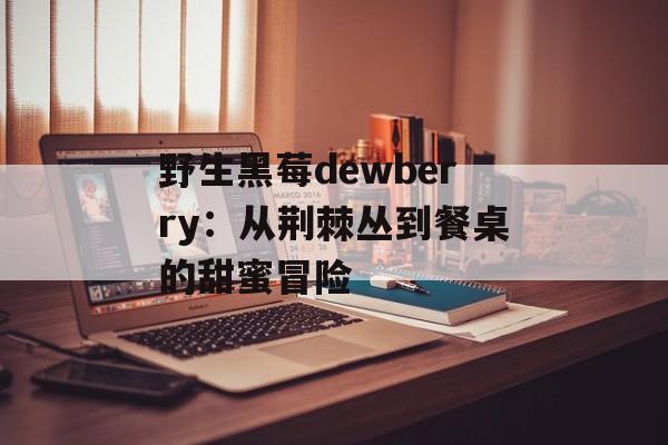 野生黑莓dewberry：从荆棘丛到餐桌的甜蜜冒险-第1张图片-