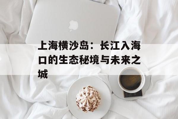 上海横沙岛：长江入海口的生态秘境与未来之城-第1张图片-