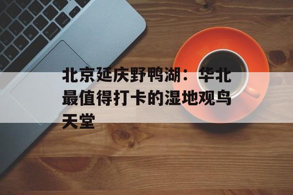 北京延庆野鸭湖：华北最值得打卡的湿地观鸟天堂-第1张图片-