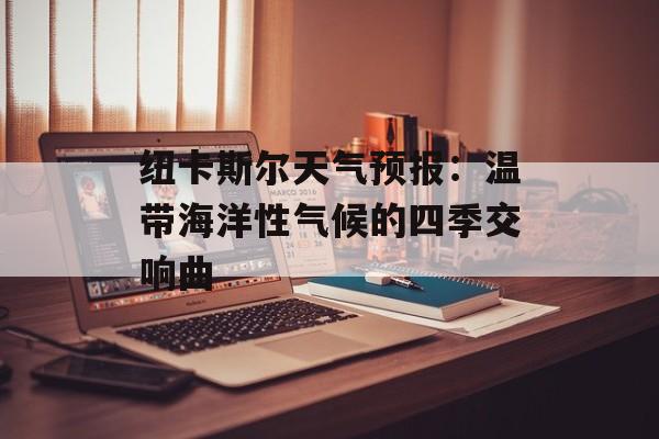 纽卡斯尔天气预报:温带海洋性气候的四季交响曲-第1张图片- 纽卡斯尔天气预报:温带海洋性气候的四季交响曲-第1张图片-