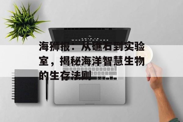 海狮报：从礁石到实验室，揭秘海洋智慧生物的生存法则-第1张图片-