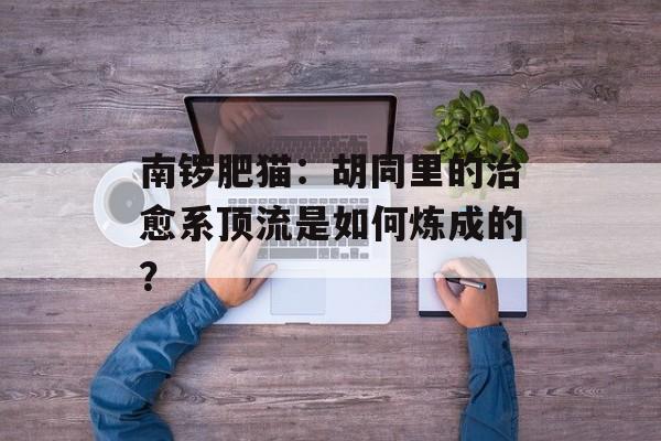 南锣肥猫：胡同里的治愈系顶流是如何炼成的？-第1张图片-