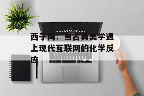 西子网：当古典美学遇上现代互联网的化学反应-第1张图片-