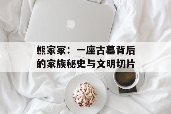 熊家冢：一座古墓背后的家族秘史与文明切片-第1张图片-