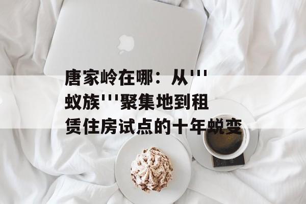 唐家岭在哪：从'''蚁族'''聚集地到租赁住房试点的十年蜕变-第1张图片-