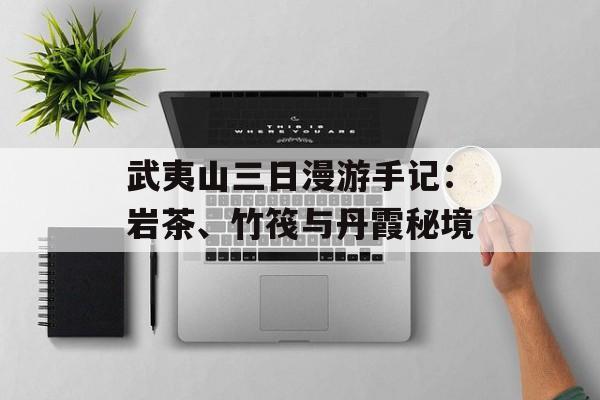 武夷山三日漫游手记：岩茶、竹筏与丹霞秘境-第1张图片-