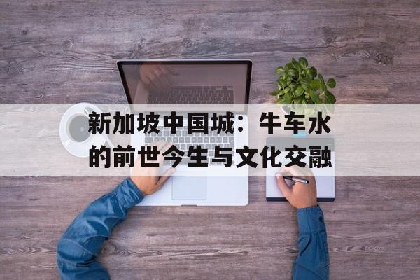 新加坡中国城：牛车水的前世今生与文化交融-第1张图片-