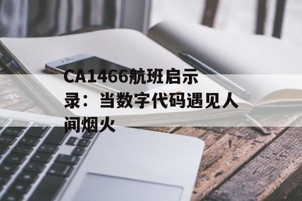 CA1466航班启示录：当数字代码遇见人间烟火-第1张图片-