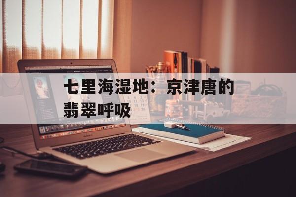 七里海湿地：京津唐的翡翠呼吸-第1张图片-