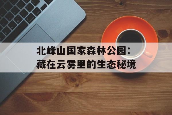 北峰山国家森林公园：藏在云雾里的生态秘境-第1张图片-