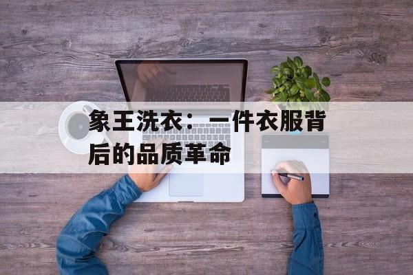 象王洗衣：一件衣服背后的品质革命-第1张图片-