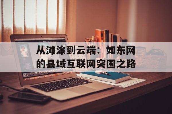 从滩涂到云端：如东网的县域互联网突围之路-第1张图片-