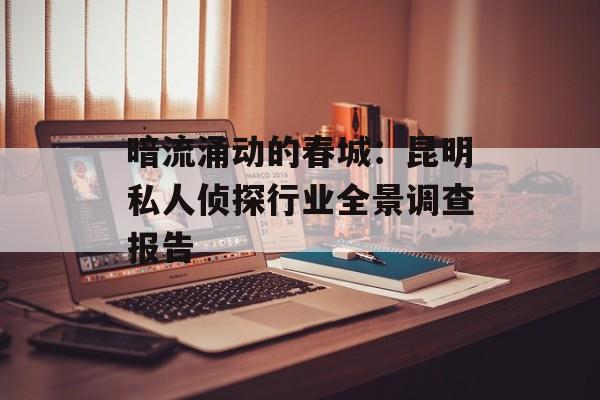 暗流涌动的春城：昆明私人侦探行业全景调查报告-第1张图片-