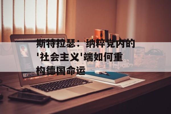 斯特拉瑟：纳粹党内的'社会主义'端如何重构德国命运-第1张图片-