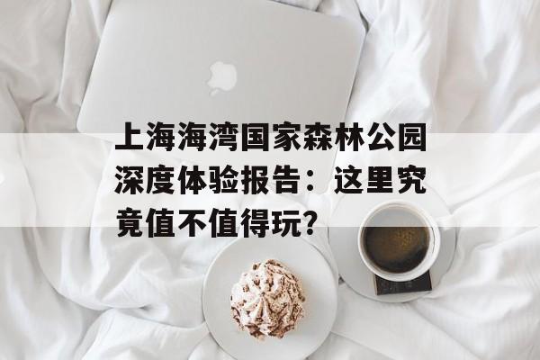 上海海湾国家森林公园深度体验报告：这里究竟值不值得玩？-第1张图片-