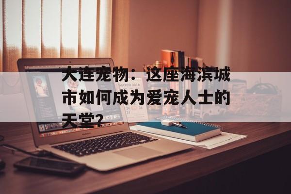 大连宠物：这座海滨城市如何成为爱宠人士的天堂？-第1张图片-
